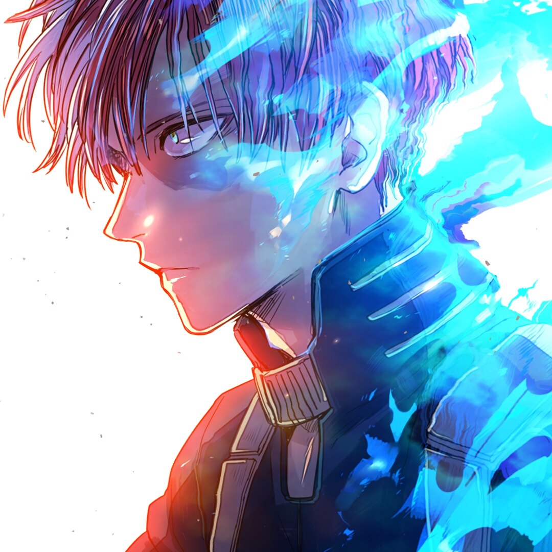 My Hero Academia (Shouto Todoroki)