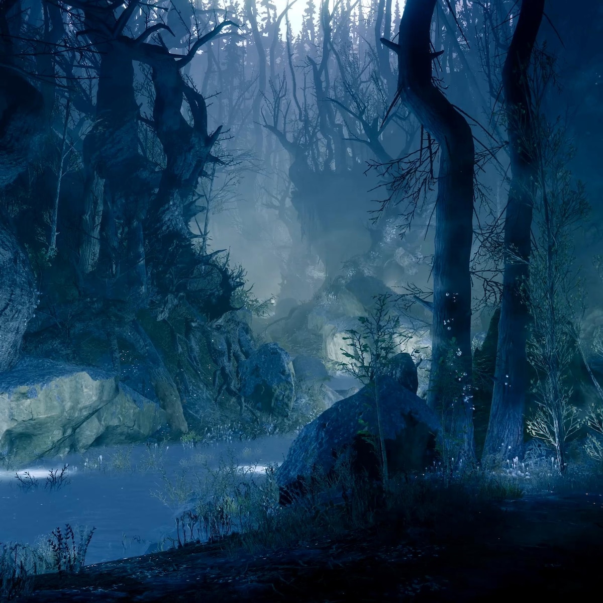 The Dark Forest - Destiny 2