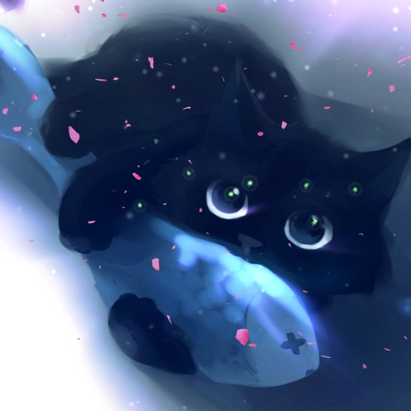 MollyCat | Wallpapers HDV