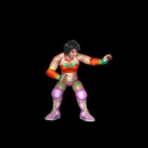 Steam 创意工坊 アイマス関連レスラー