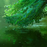 Steam Workshop::Anime Backyard Rain [Relaxing Rain] [1080p 60fps] No Music