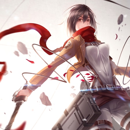 Attack on Titan (Mikasa Ackerman)