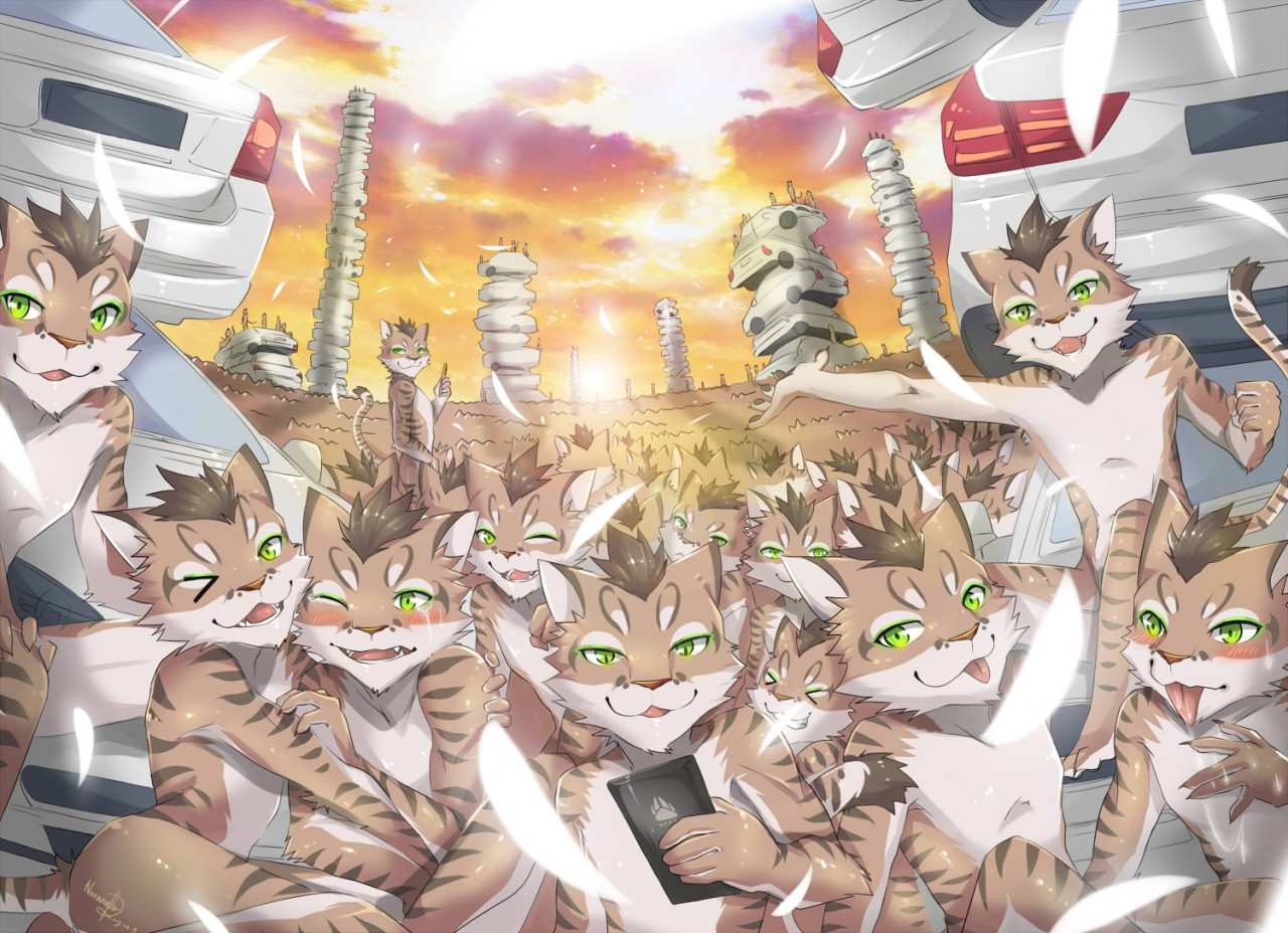 nekojishi limited edition