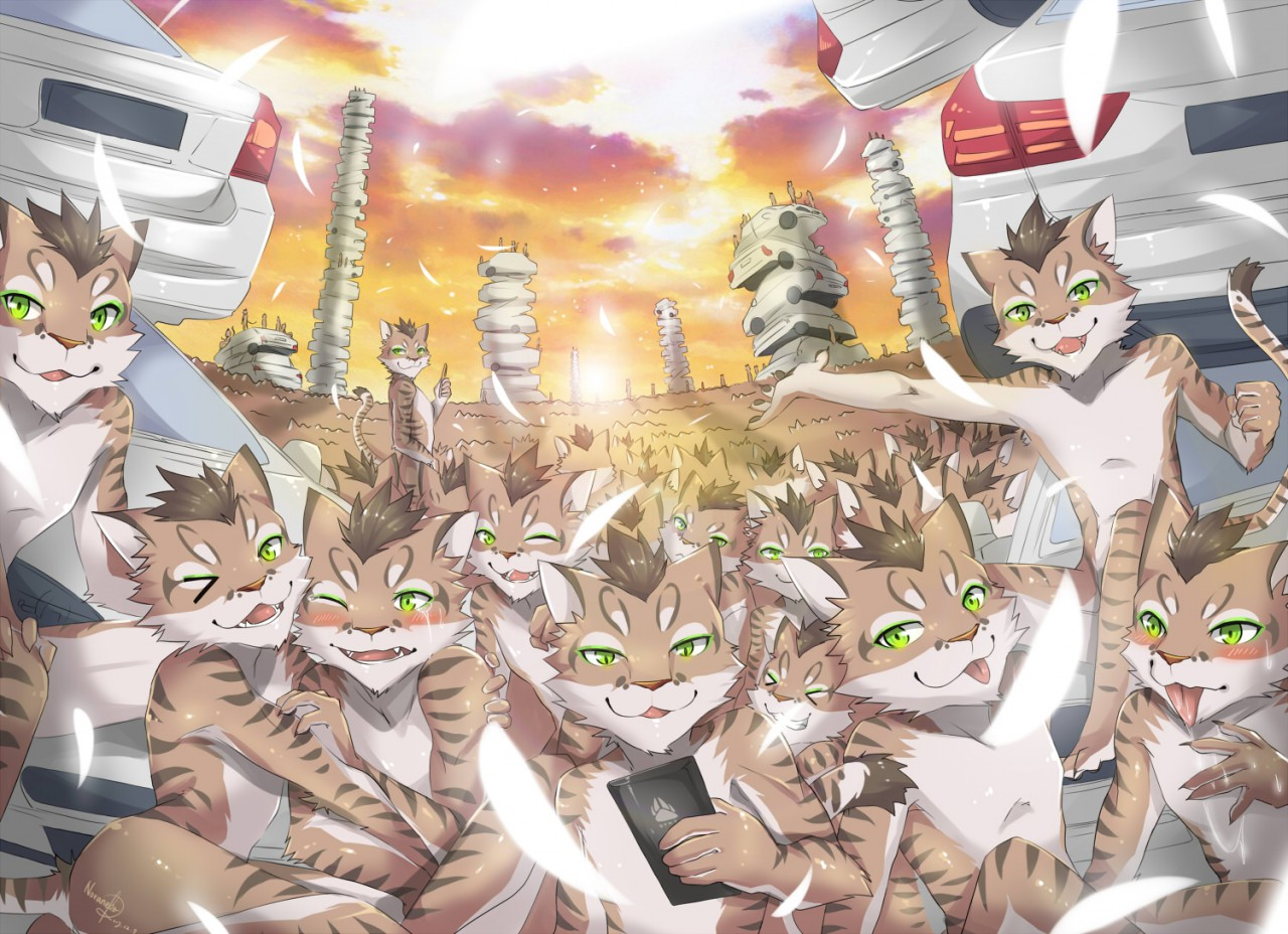 nekojishi limited edition nt$