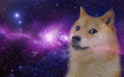 This is doge steam фото 105