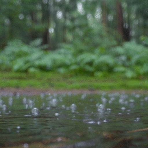 Дождь живая природа. Анимированный дождь. Дождь в лесу. Ливень в лесу. Летний ливень.