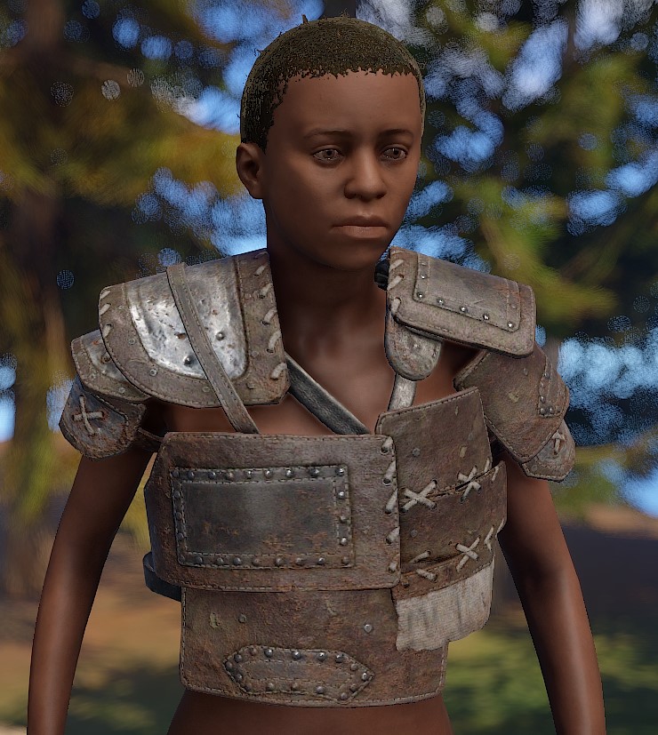 The Last Viking Vest thumbnail 6