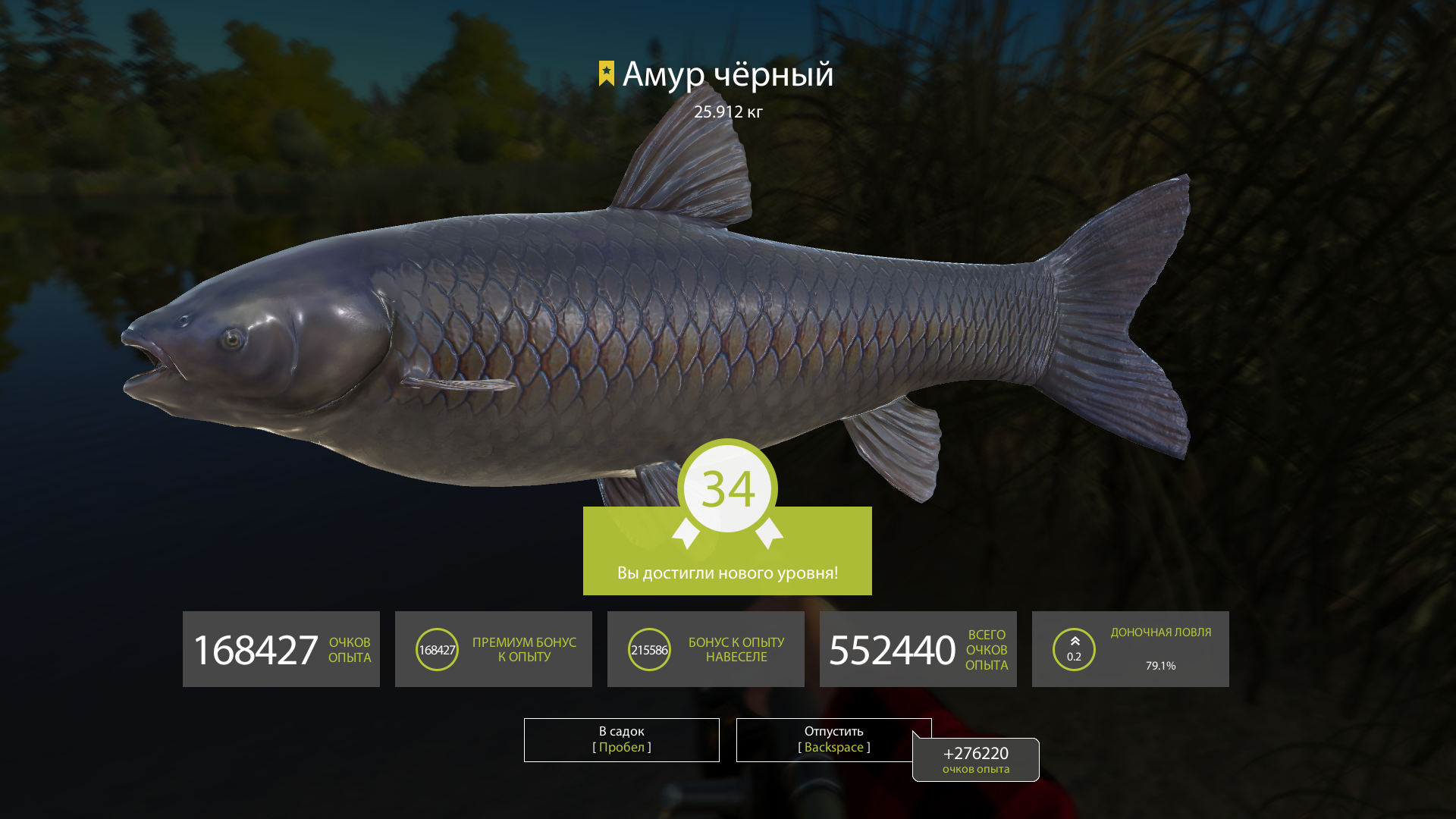 russian fishing 4 money cheat