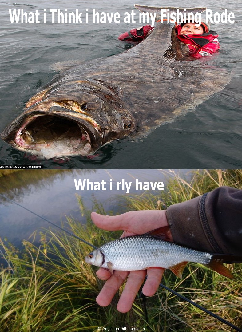 Steam Community Fishing