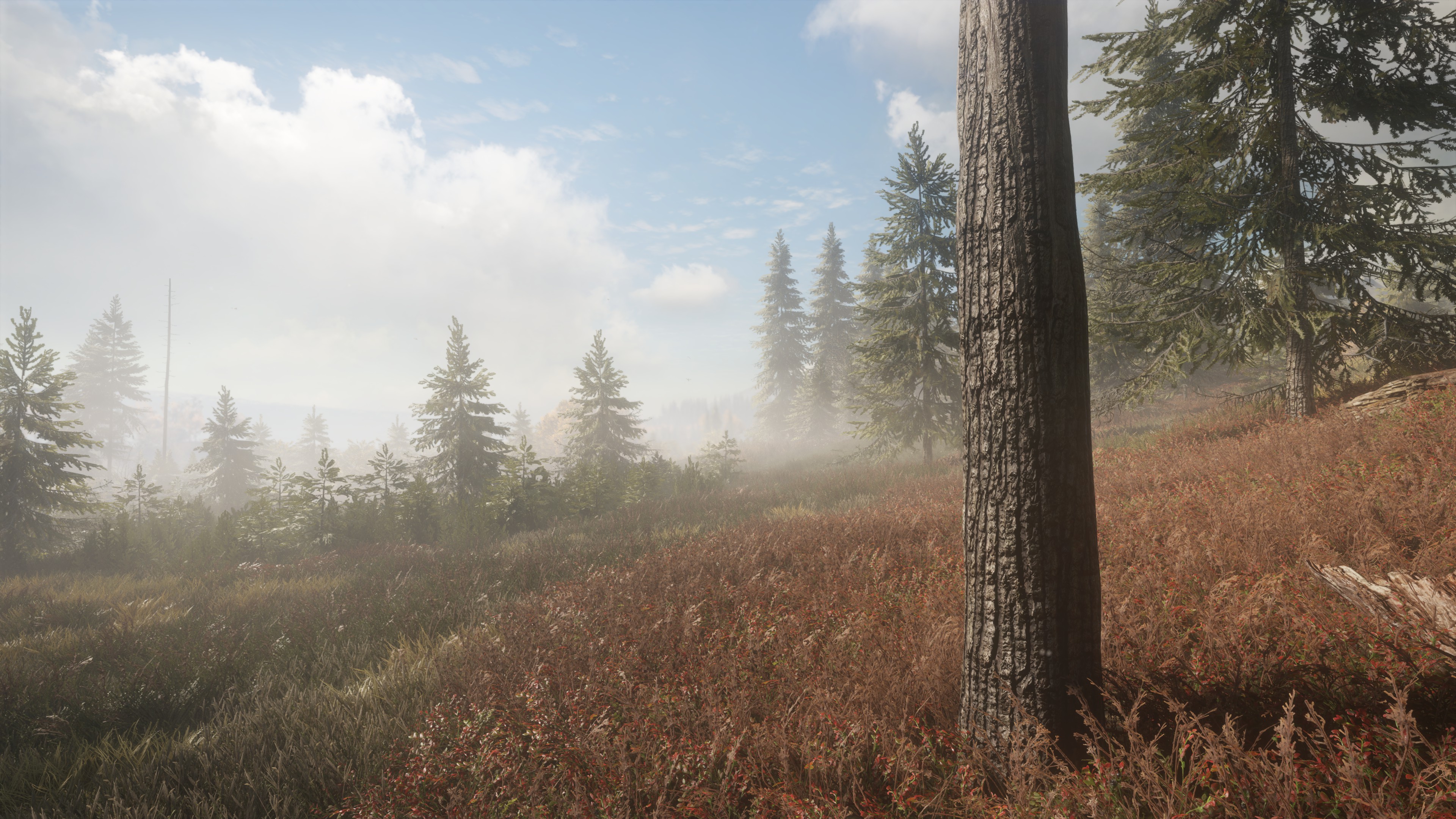 Steam Community :: theHunter™: Call of the Wild