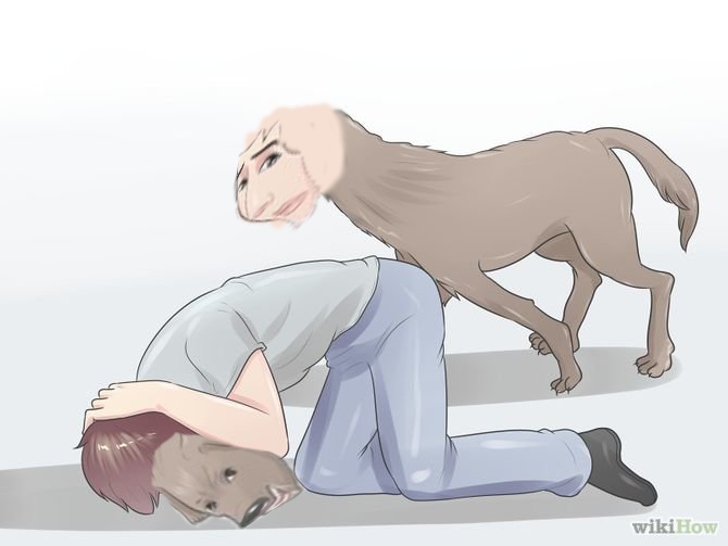 Steam Community Wikihow Dogs Are Funny