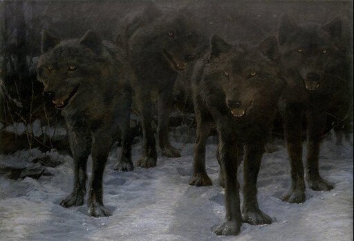 Заколдуй волка. Художник John Seerey-Lester. Волк в пт. Ночные Дикие волки. Встреча Путина с ночными волками.