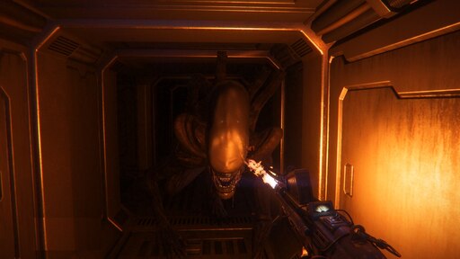 Steamin yhteisö: Alien: Isolation. 