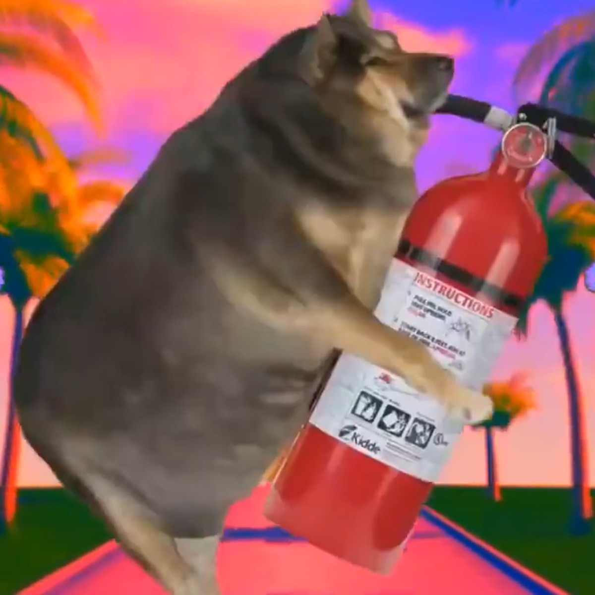 Vaporwave Doggo