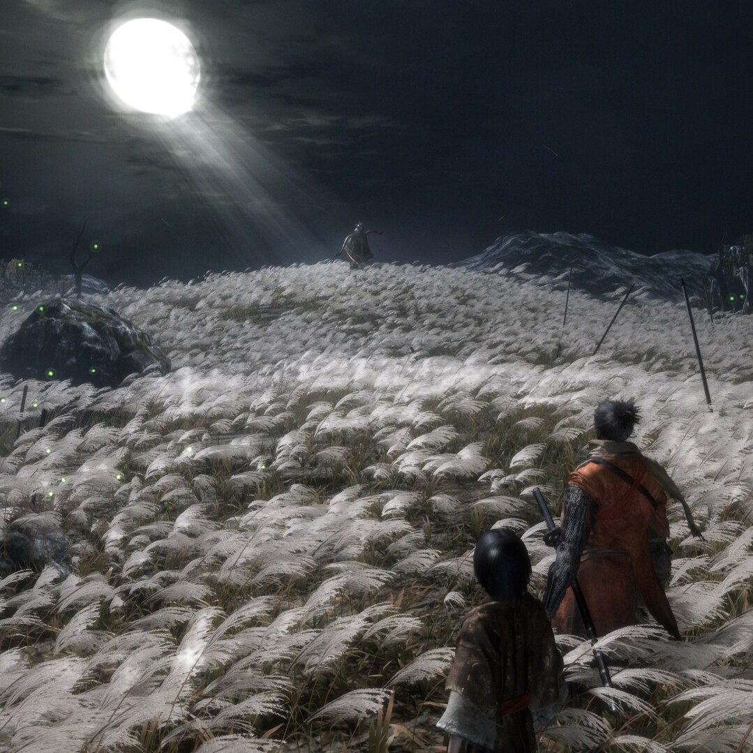 Animated Sekiro: Shadows Die Twice