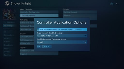 This application requires steam фото 2