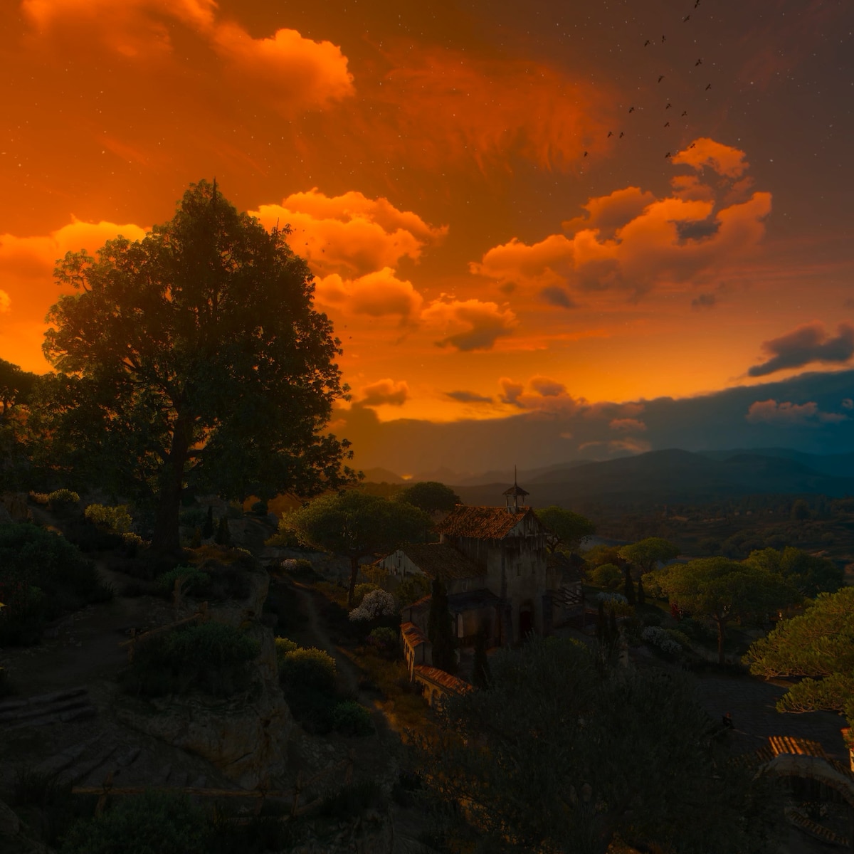 The Witcher 3: Blood and Wine - Corvo Bianco Sunset 1440p