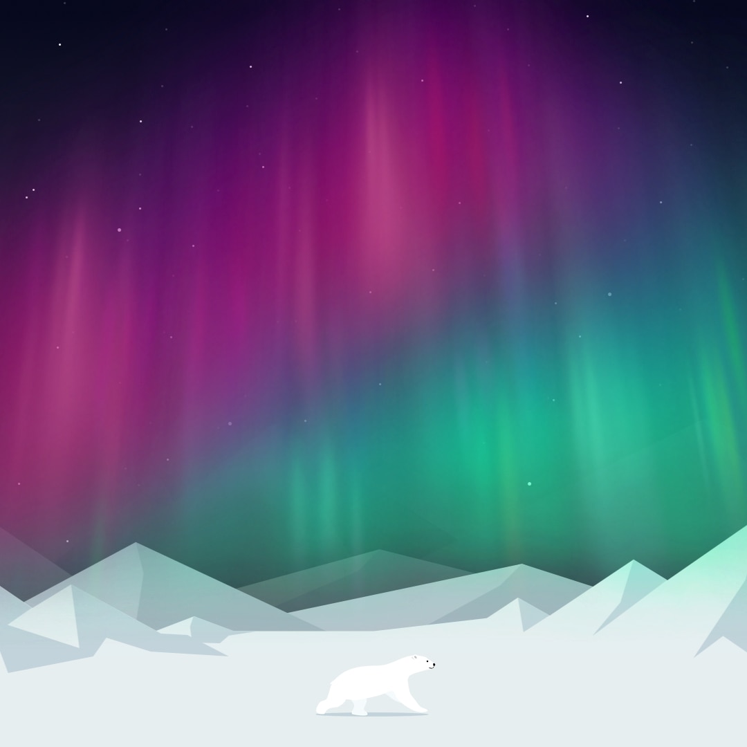 Arctic world_北极熊和极光 [WEB]