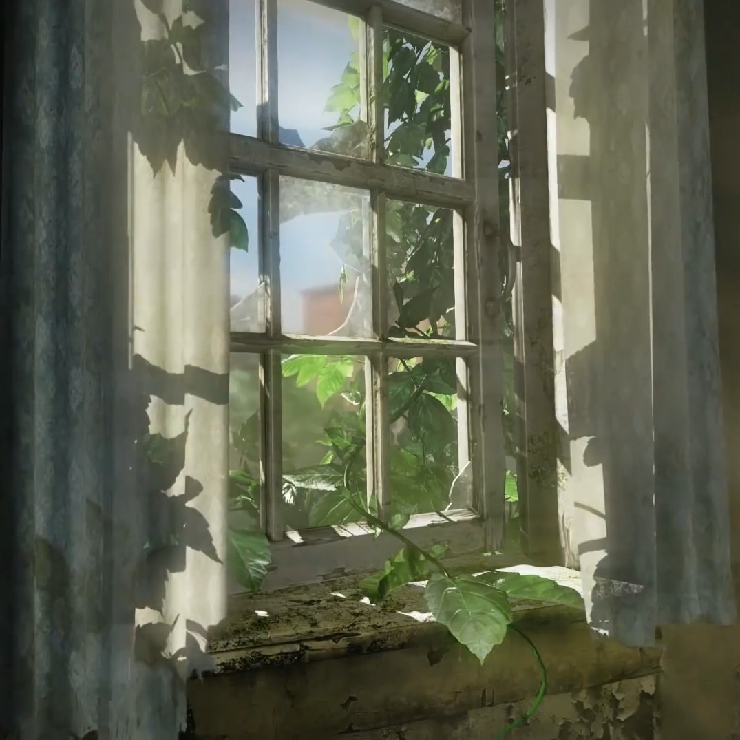 the last of us HDR