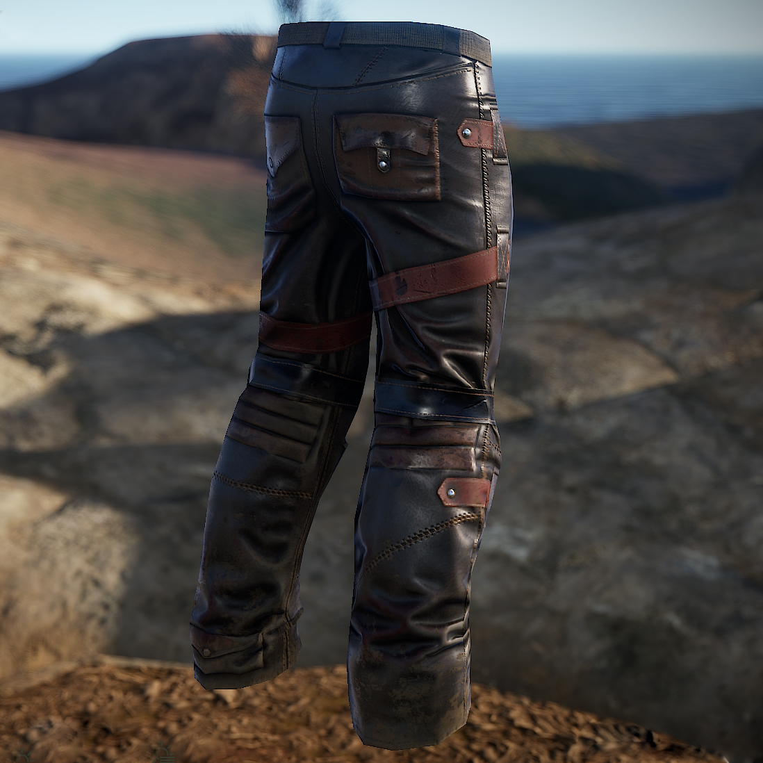 Outlaws Pants thumbnail 2