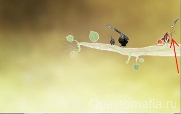 Steam Community :: Guide :: Прохождение Botanicula | Ботаникула