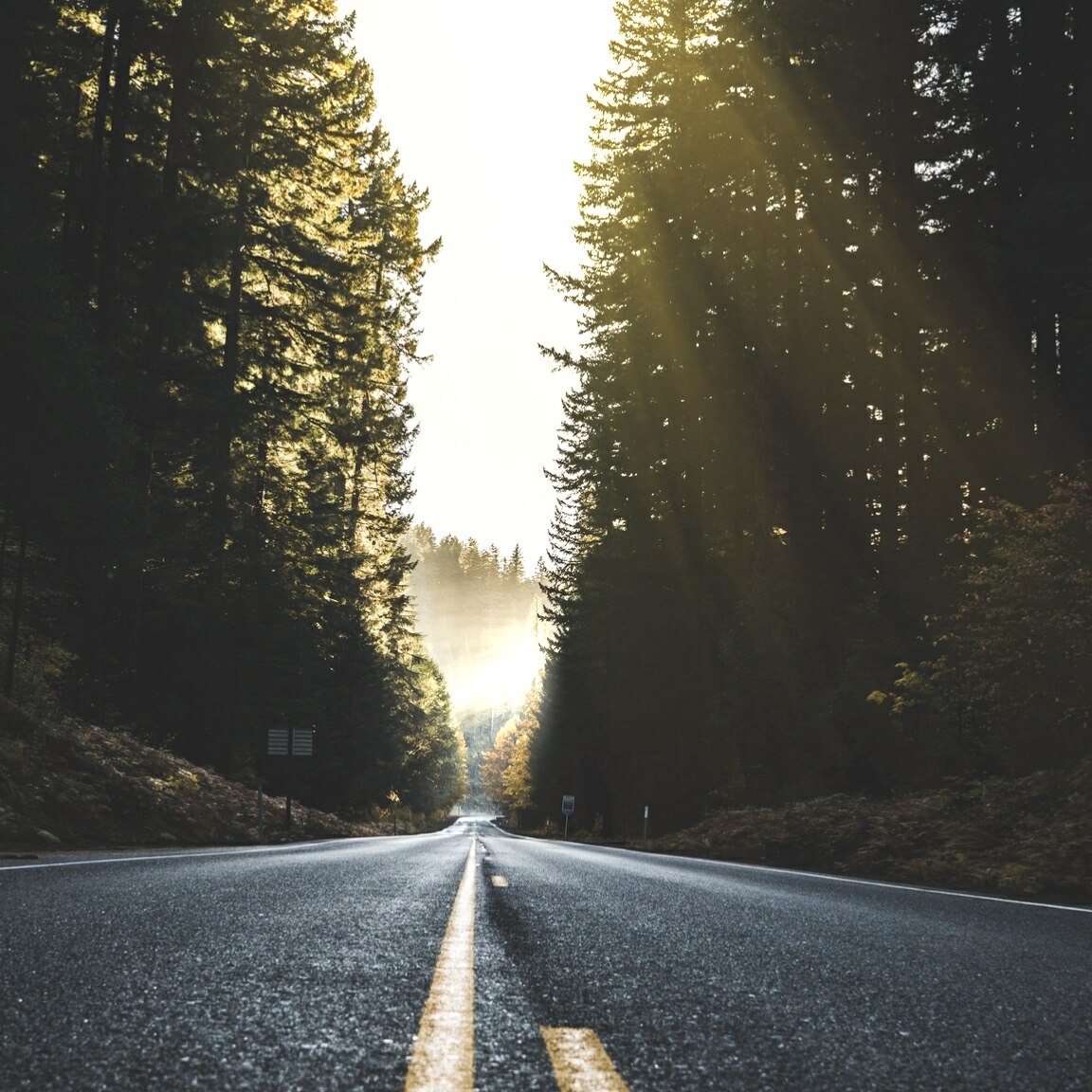 Summer Road to Freedom
