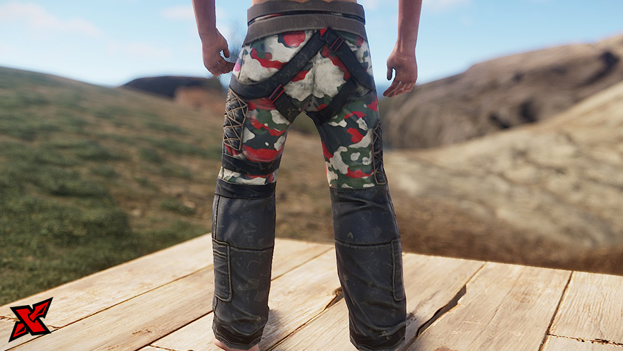 Checkpoint Pants thumbnail 3