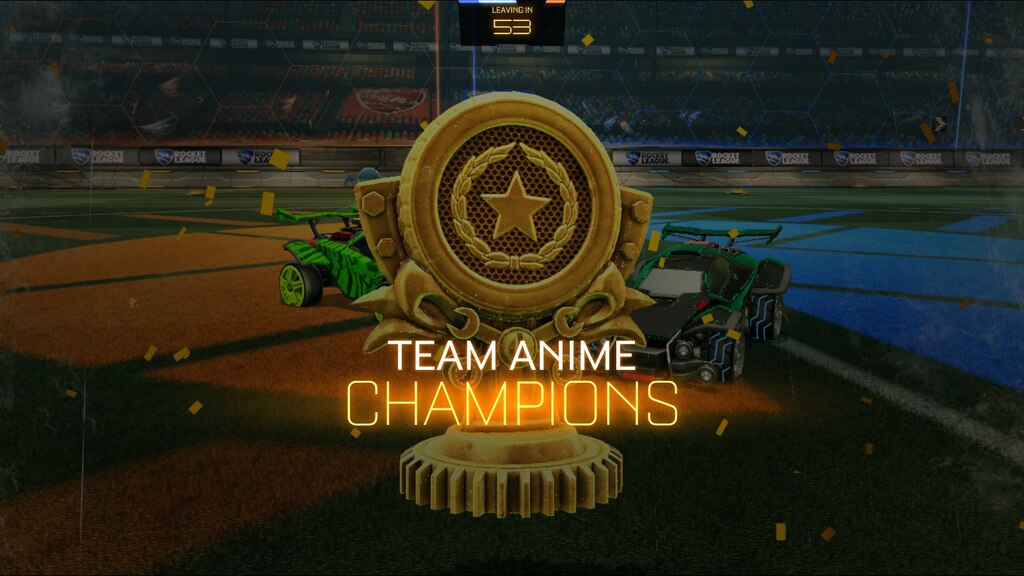 Thats what i Got in the first Tournaments of Anime Champions