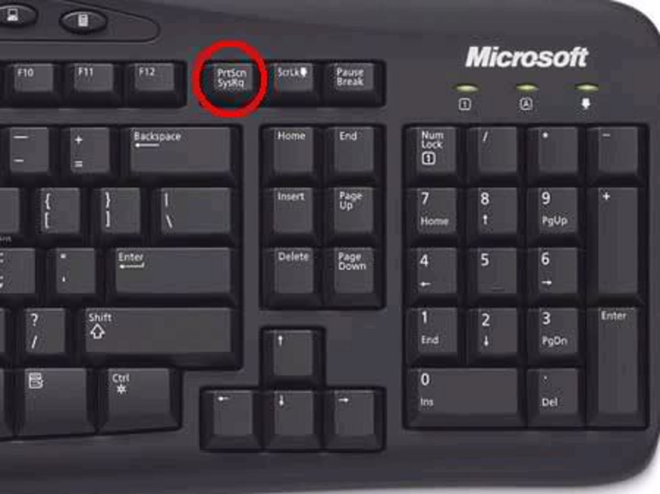Где кнопка поиска. Кнопка Numpad 1. Numpad Slash на клавиатуре. Клавиша Numpad на клавиатуре. Нумпад 2 на клавиатуре.