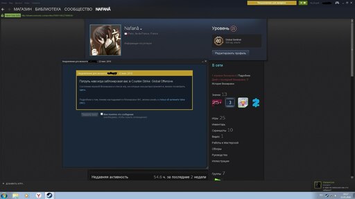 Steam an issue with your computer is blocking vac фото 103