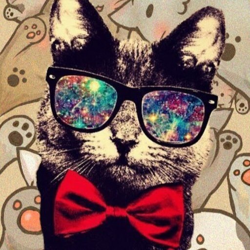 Аватарка кот в очках