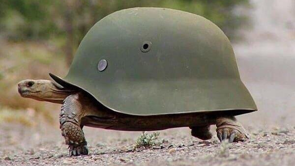 Steam Workshop Turtle Friendly Raids B18 Deprecated