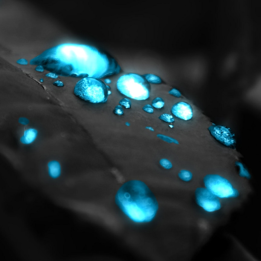 Water Droplets