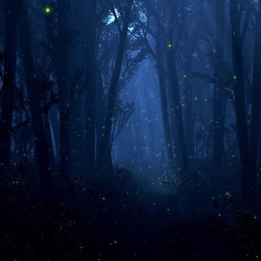 Лес ночью красивое фото Лес ночью красивое фото