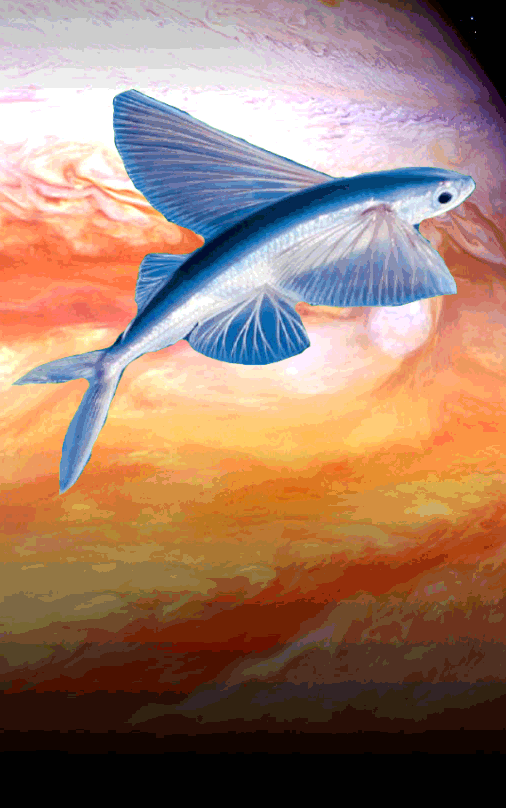 Steam Community :: :: Flying Fish Artwork Showcase