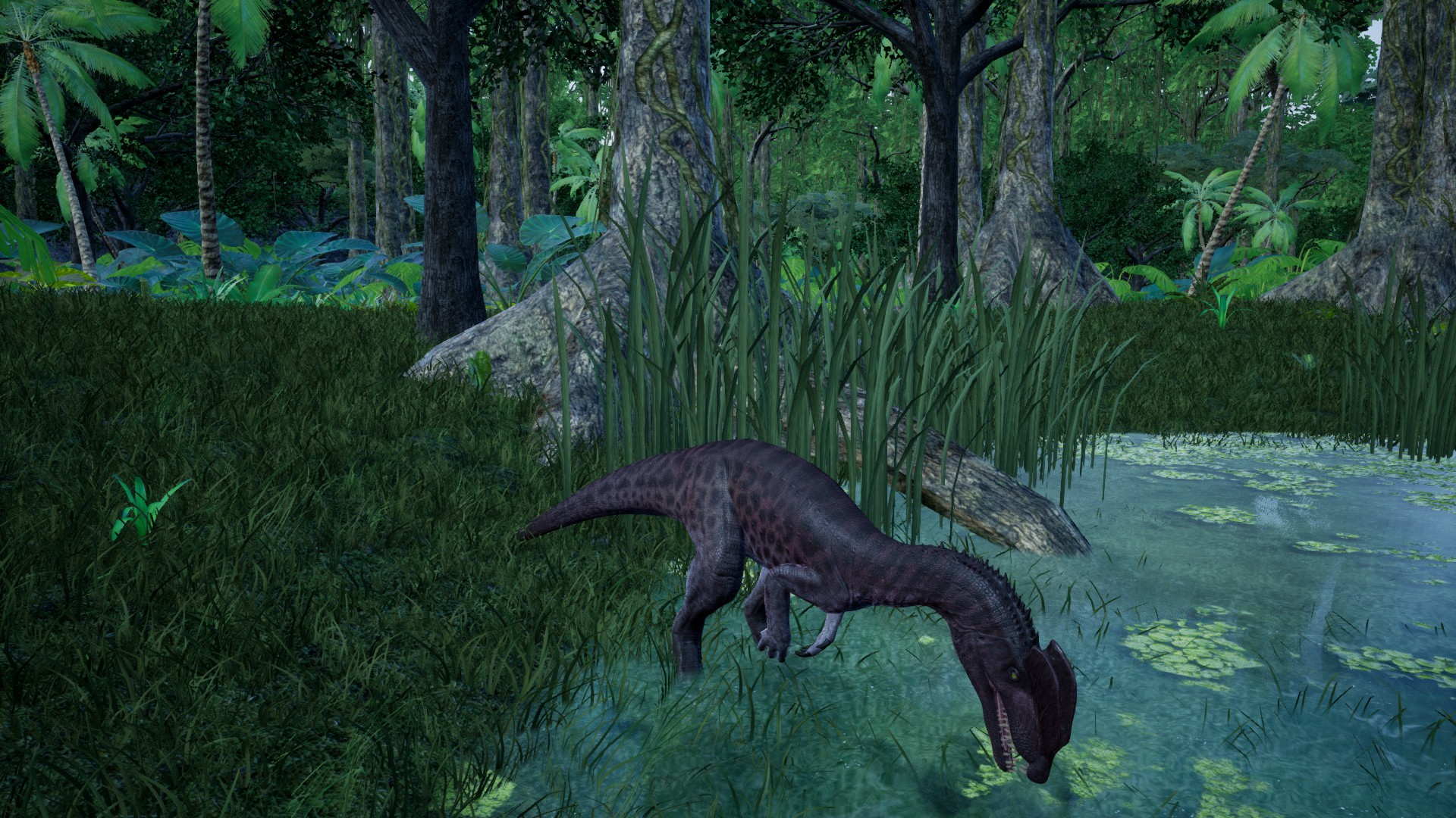 It Also Has Superior Nightvision To All Other Dinosaurs This Allows Access Potential Prey And Possible Predators From A Safe Distance Without Ever