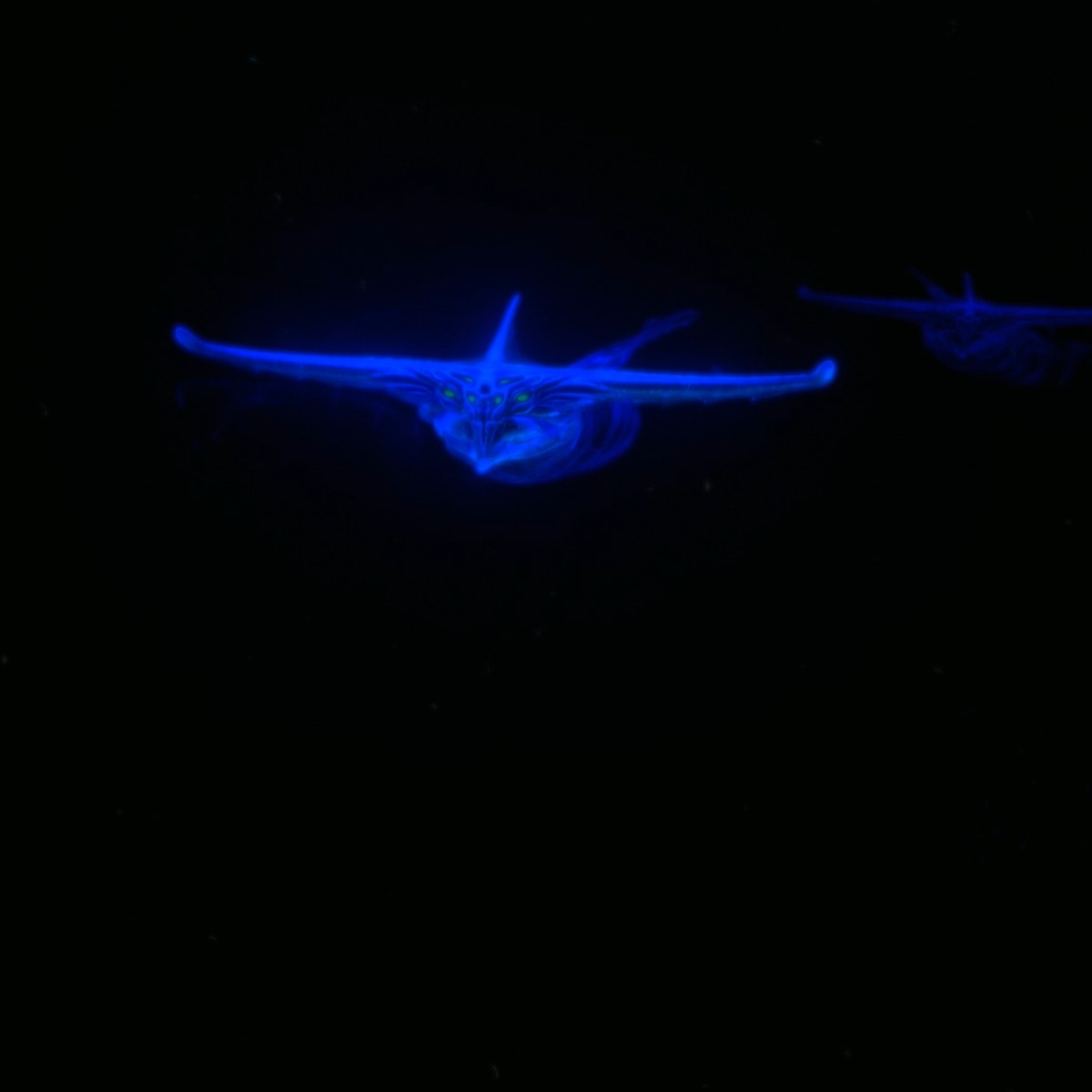 Subnautica Ghost Leviathan