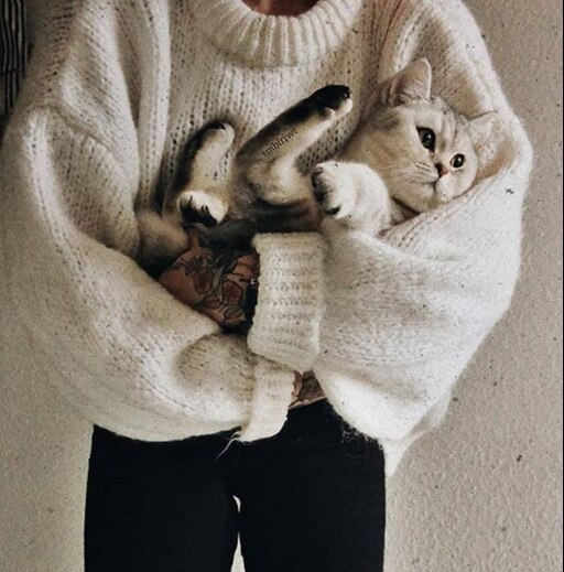 Котики фото на аву эстетика пинтерест Котики фото на аву эстетика пинтерест