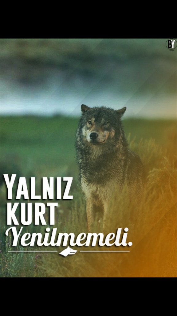 steam community yalniz kurt