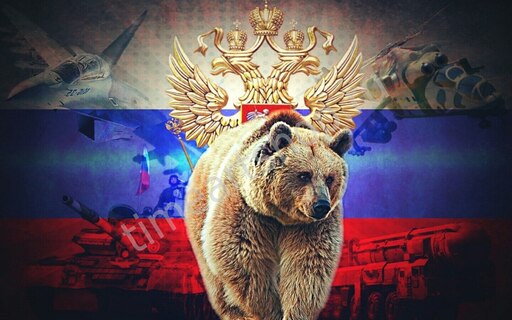 Russia bear steam фото 14