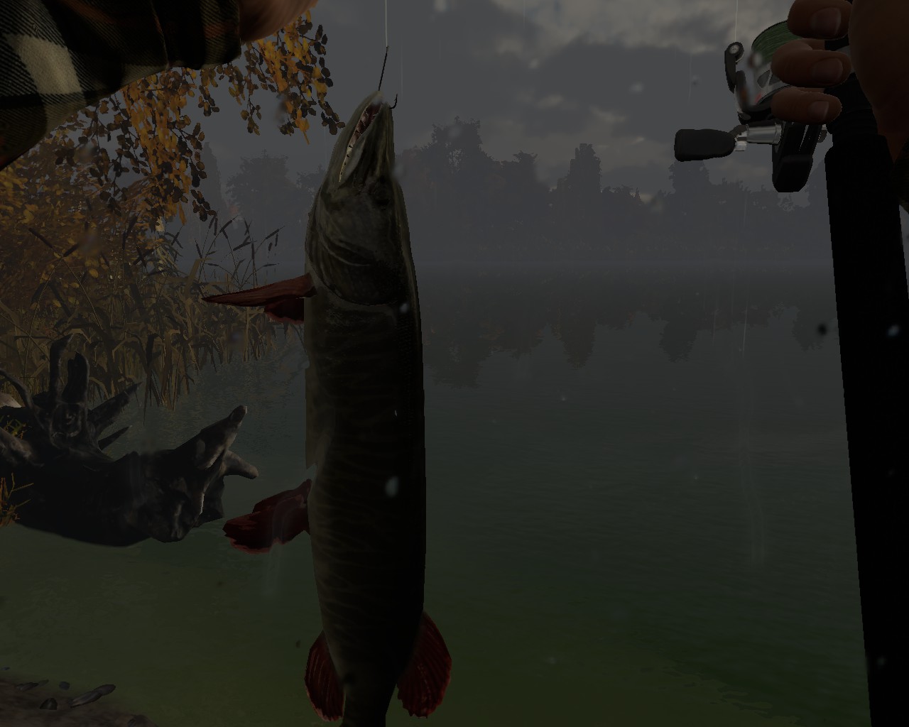 fishing planet steam forum