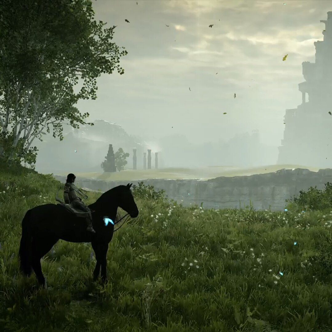 Shadow of the colossus - the meadow