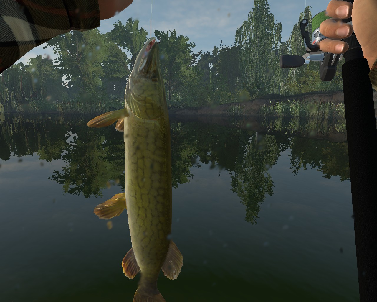 steam fishing planet news