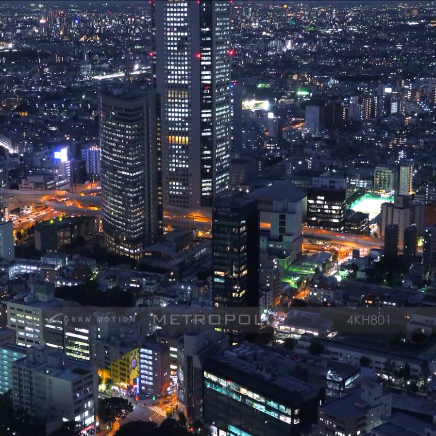 TOKYO / 東京のリアル都市風景 005