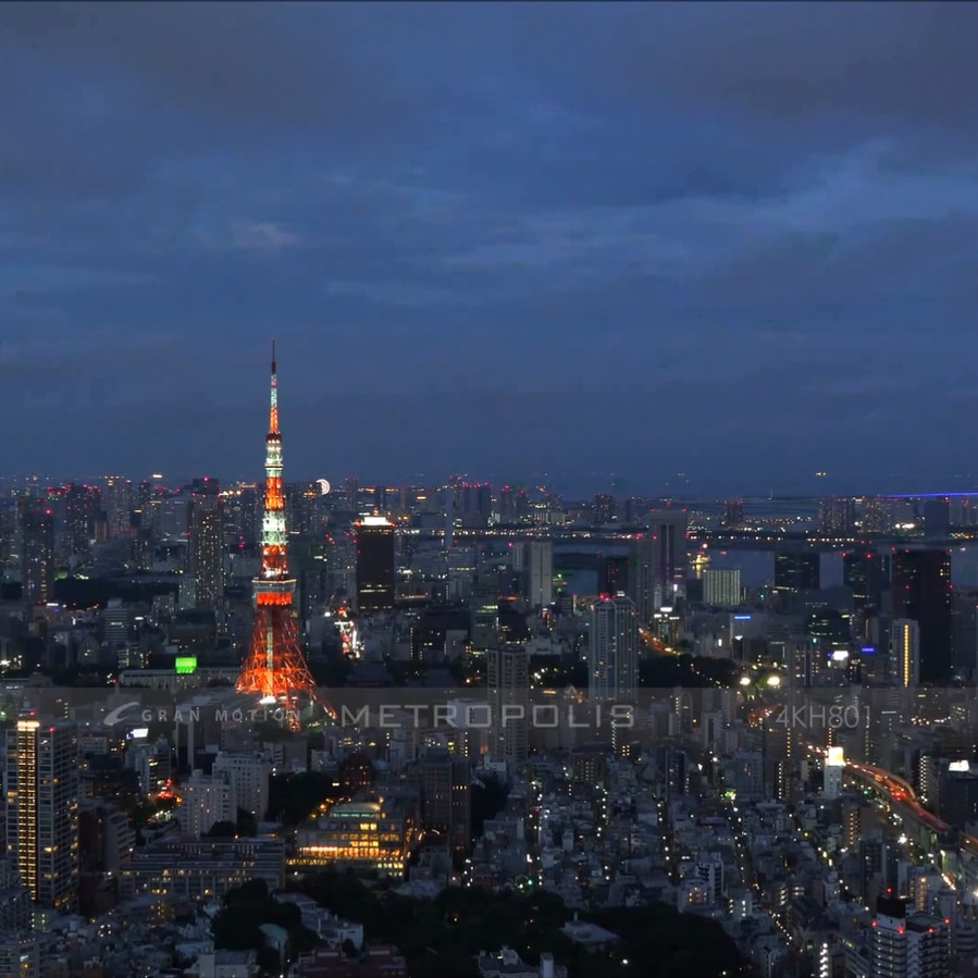 TOKYO / 東京のリアル都市風景 006