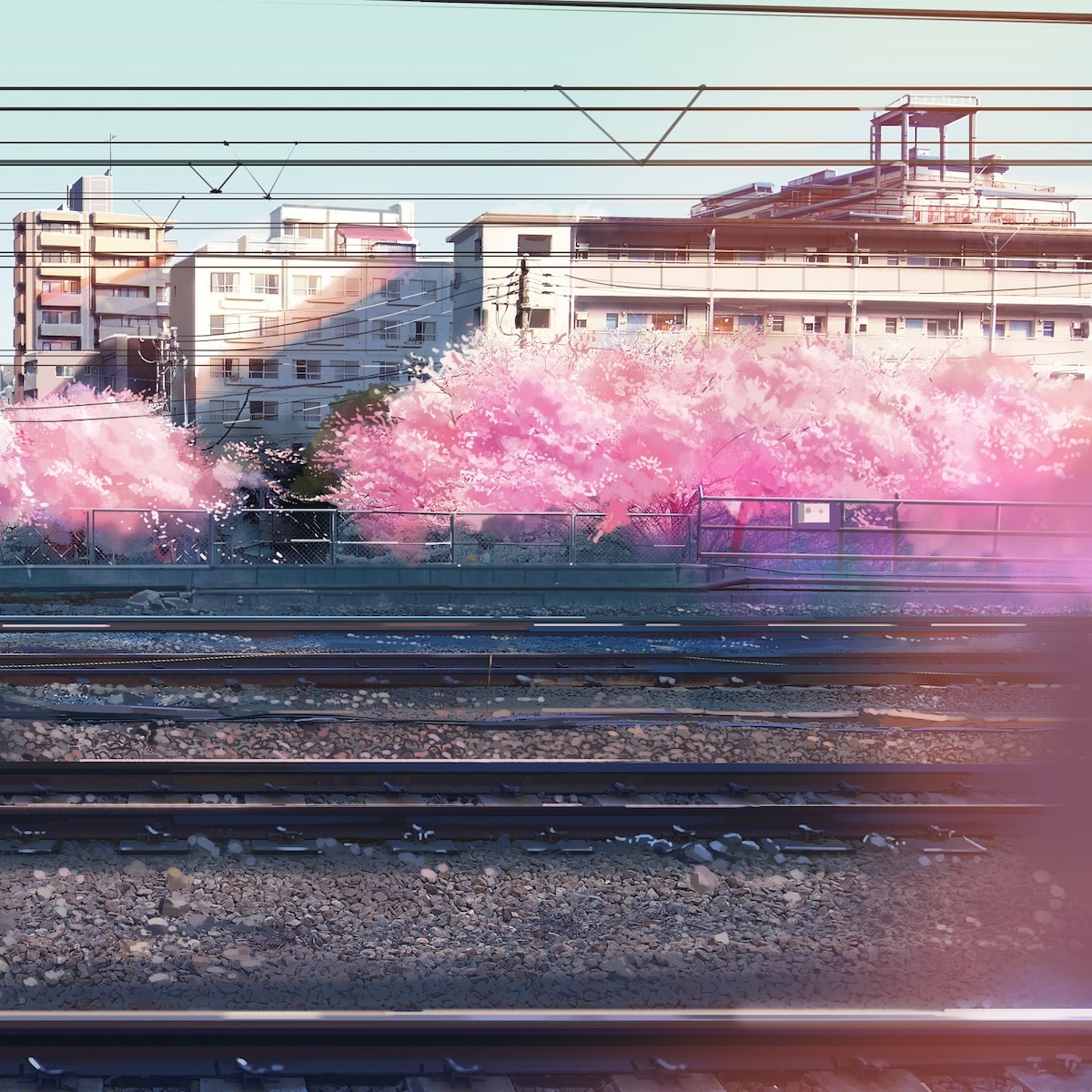 🚆 [近衛曦晨晨] Sakura 🌸