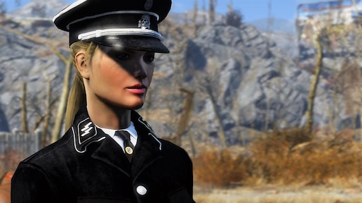 Fallout 4 nazi brotherhood фото 41