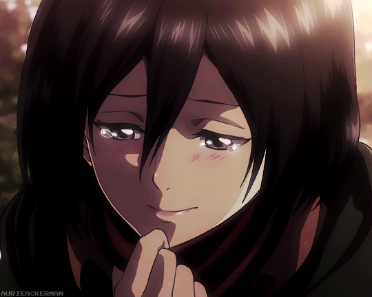 Comunidade Steam :: :: Mikasa.gif