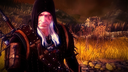 Witcher 2 assassins of kings steam фото 112