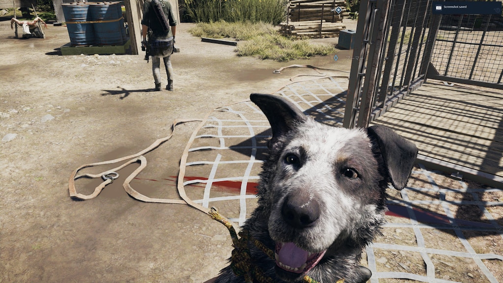 Steam Community Screenshot ドッグミートとはまた違った可愛さ やっぱ仲間は犬だよね犬